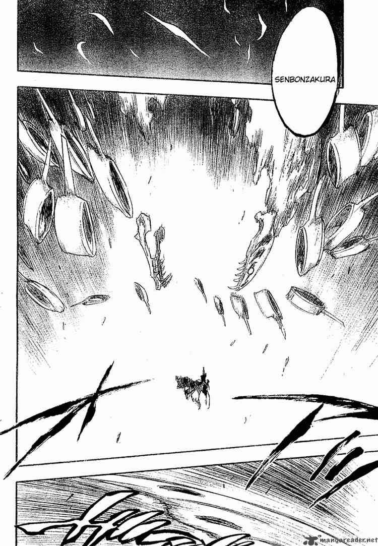 Bleach 141 13