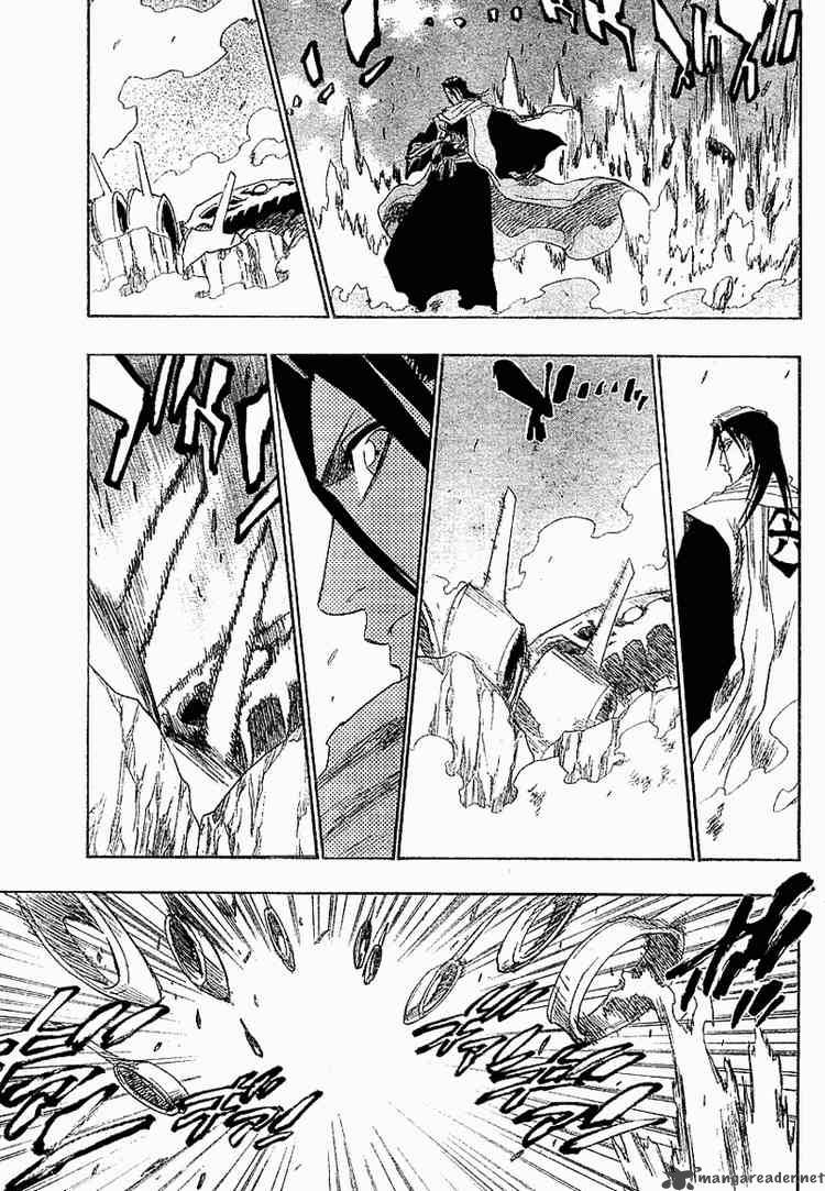 Bleach 141 14