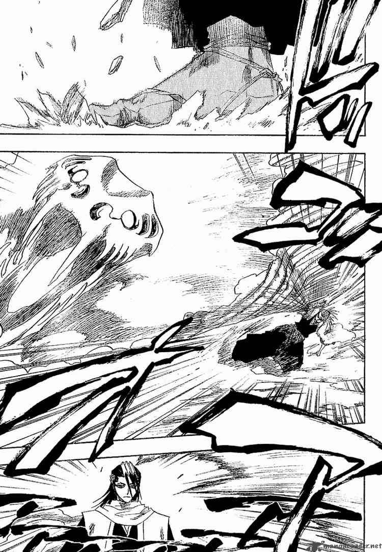 Bleach 141 8