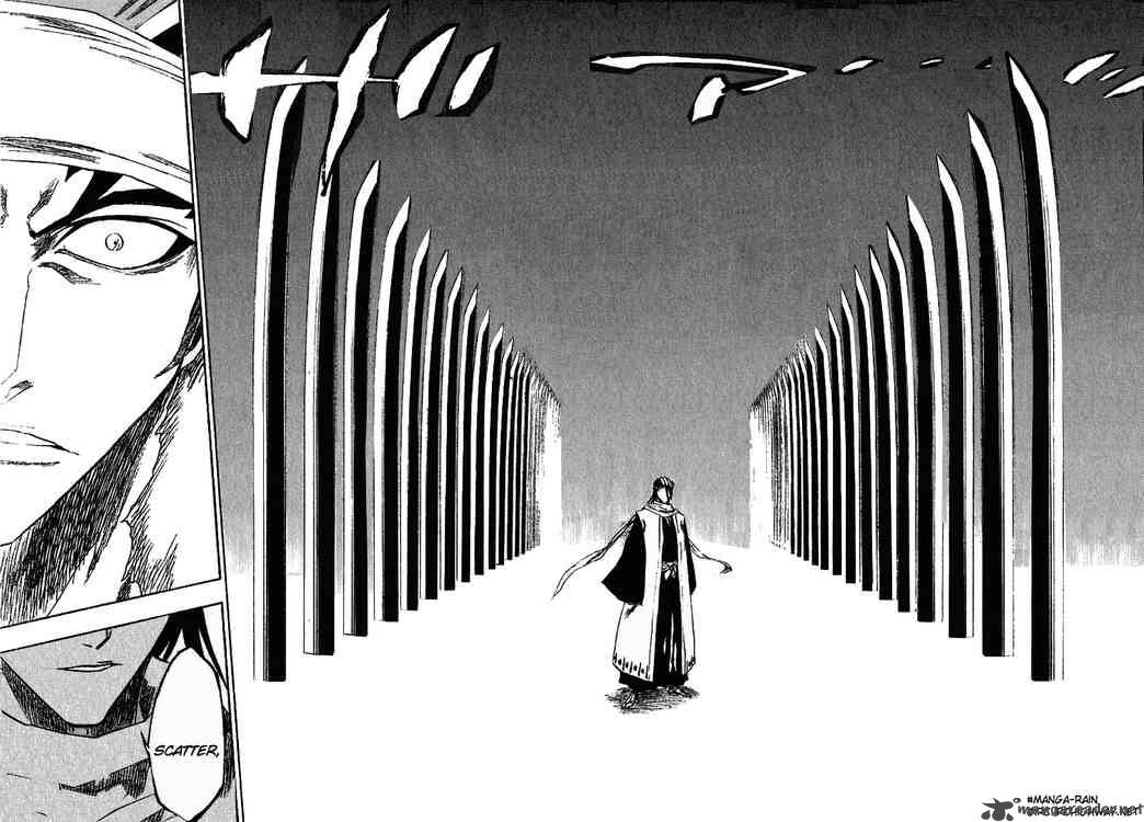 Bleach 142 12