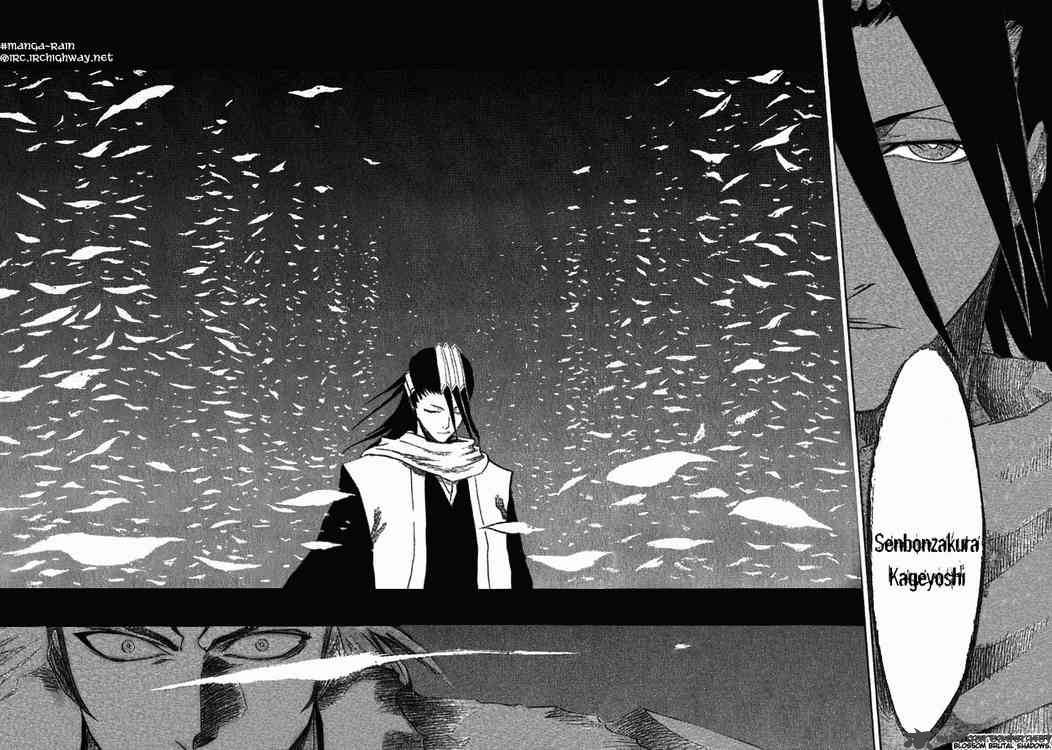 Bleach 142 13
