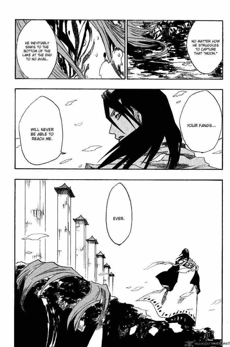 Bleach 142 17