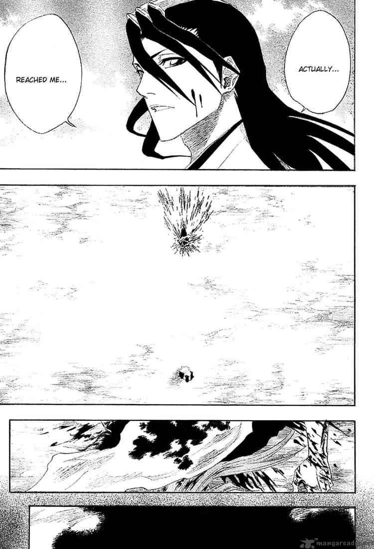 Bleach 144 13