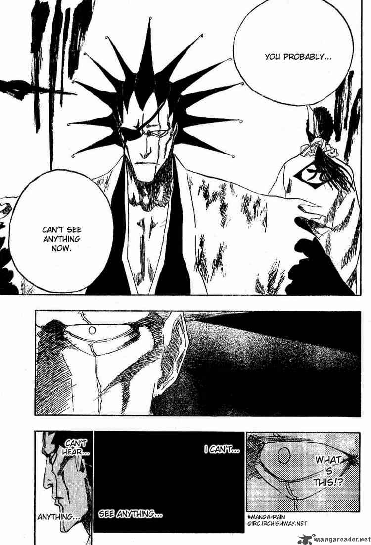 Bleach 146 11