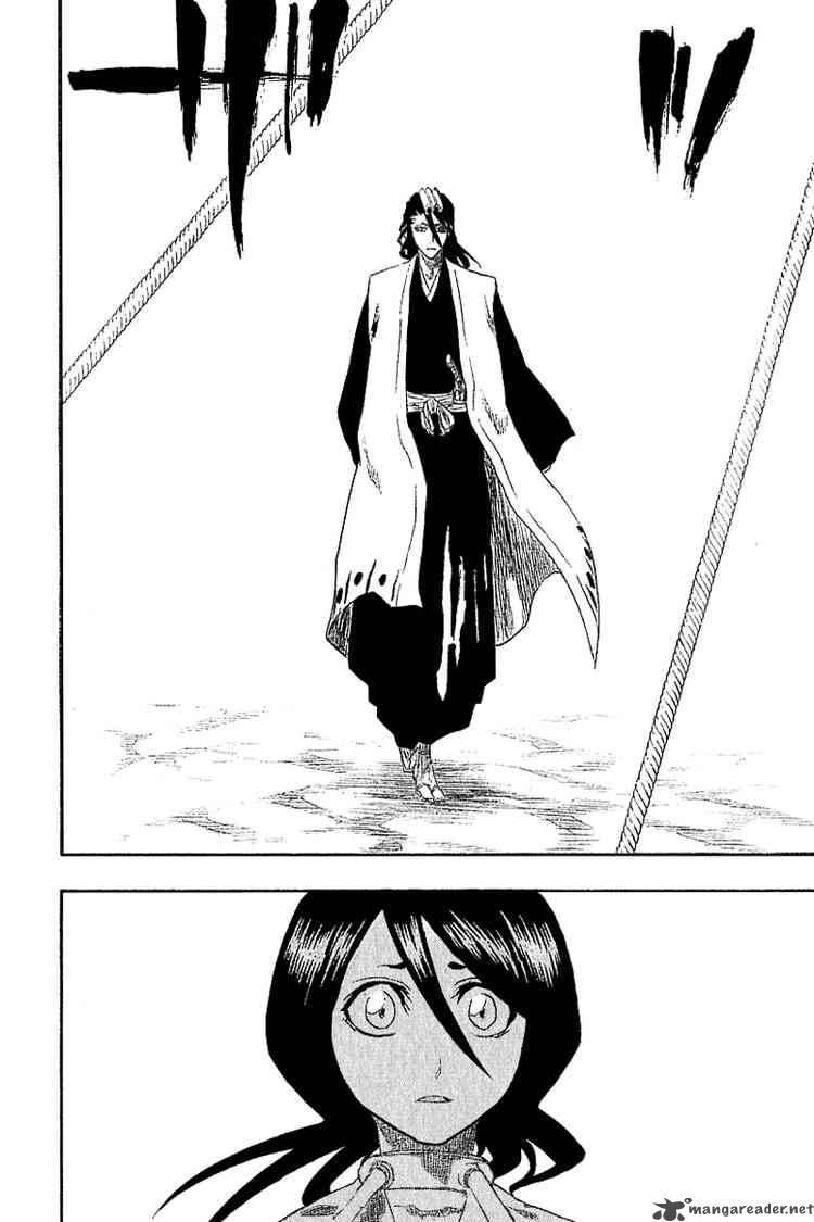 Bleach 147 2