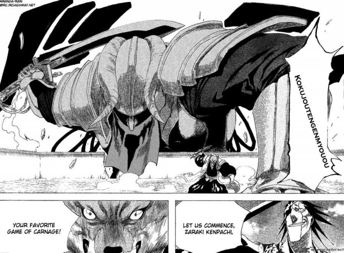 Bleach 148 19