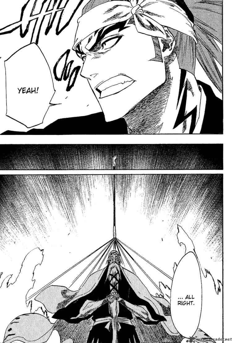 Bleach 149 17