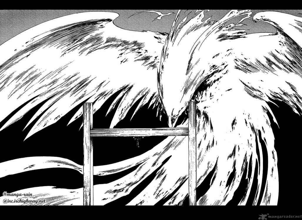 Bleach 150 12