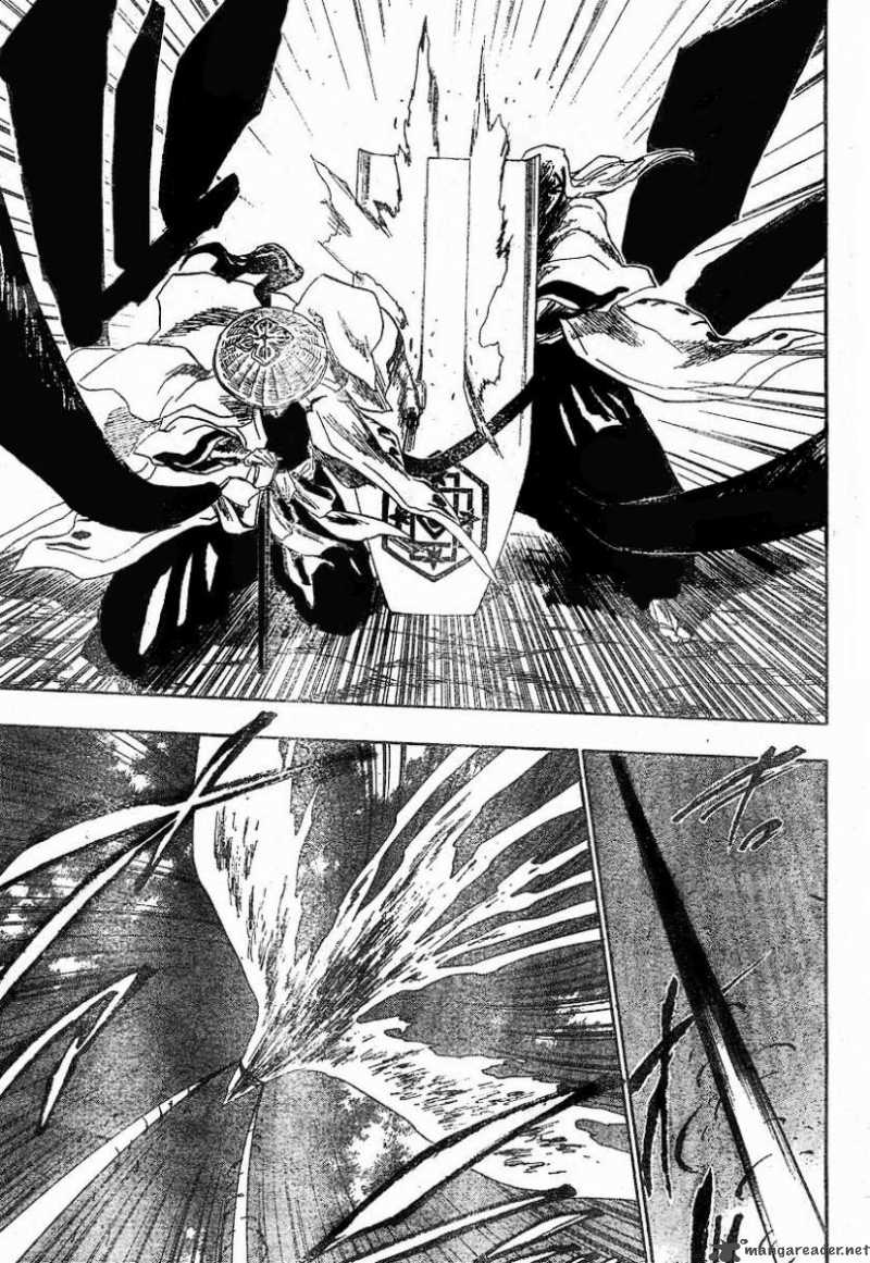 Bleach 151 14