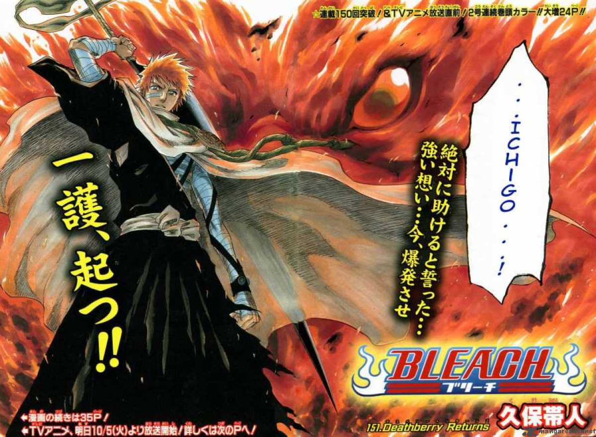 Bleach 151 3