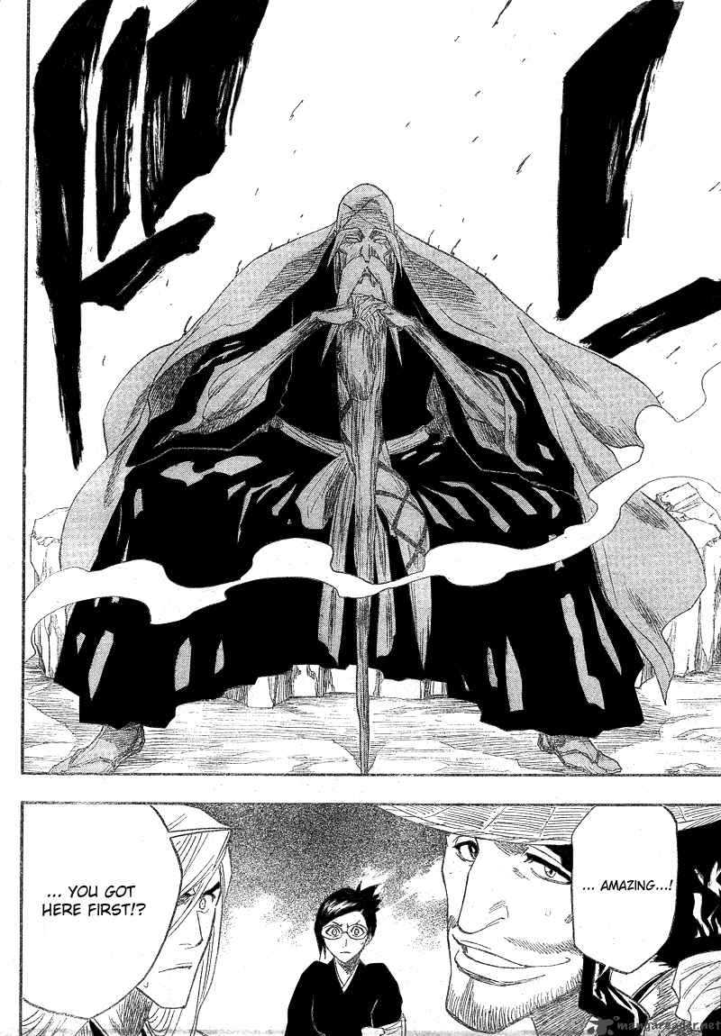 Bleach 154 19