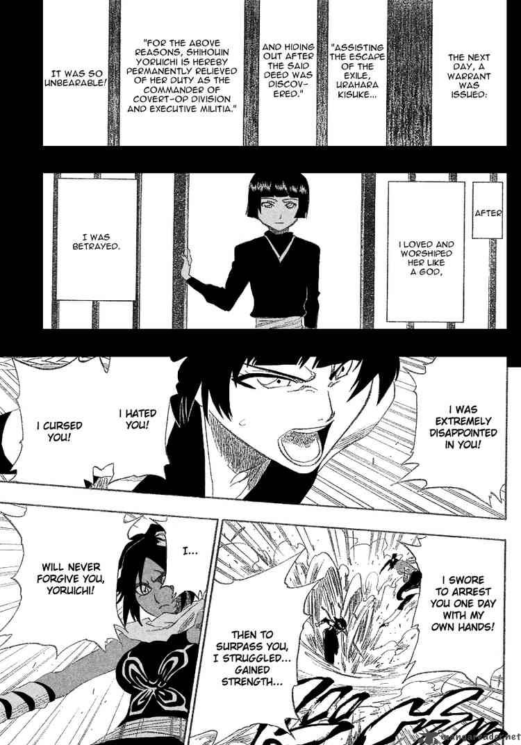 Bleach 159 15