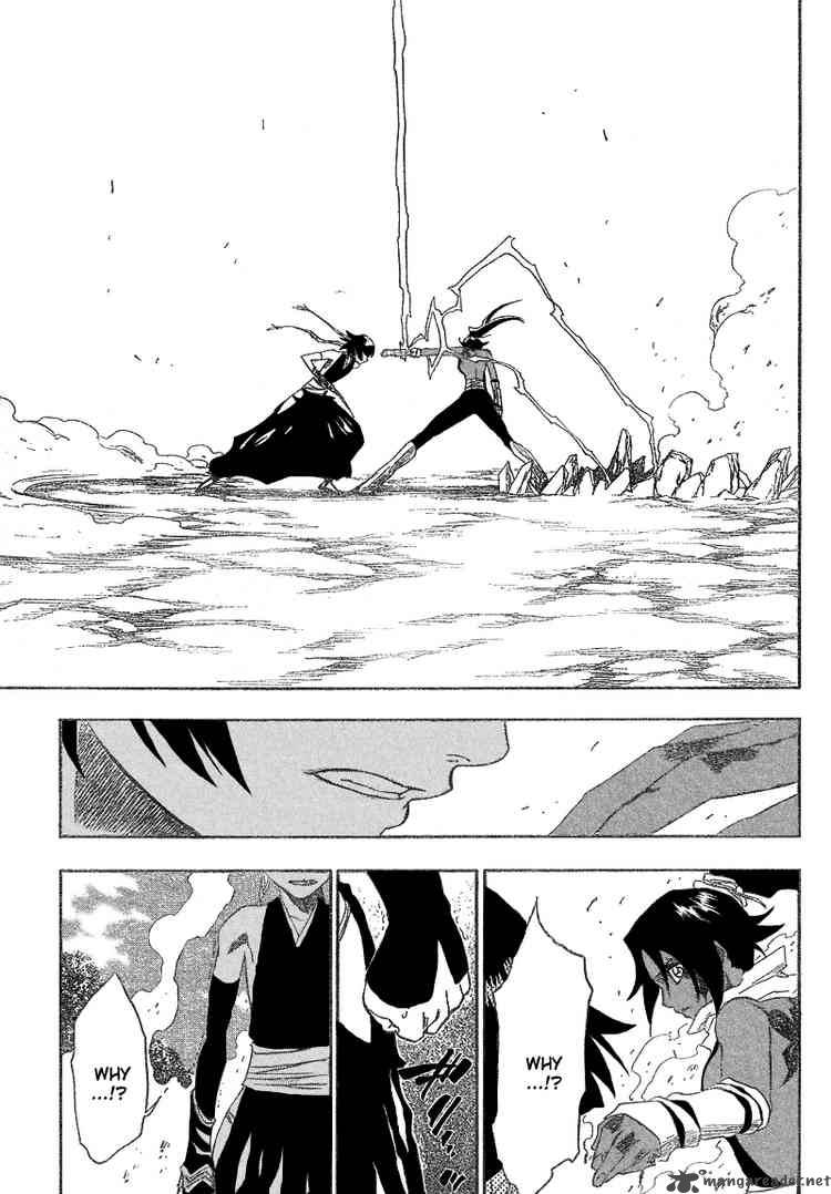 Bleach 159 17
