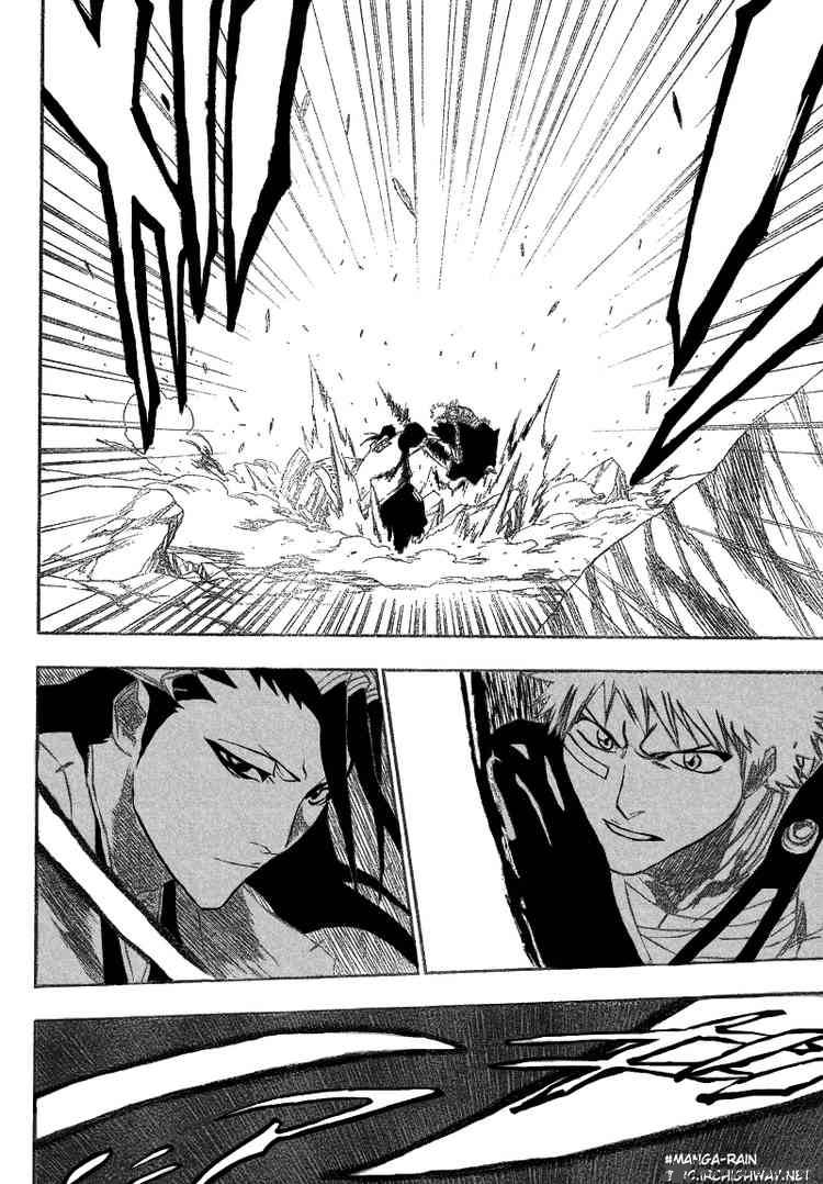 Bleach 160 10