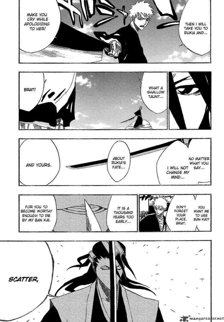 Bleach 160 15