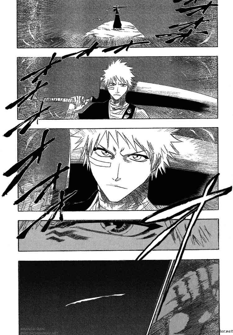 Bleach 160 17