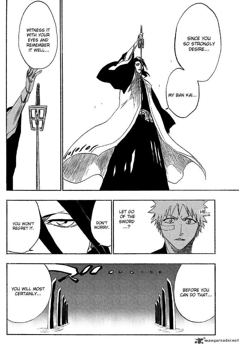 Bleach 161 11