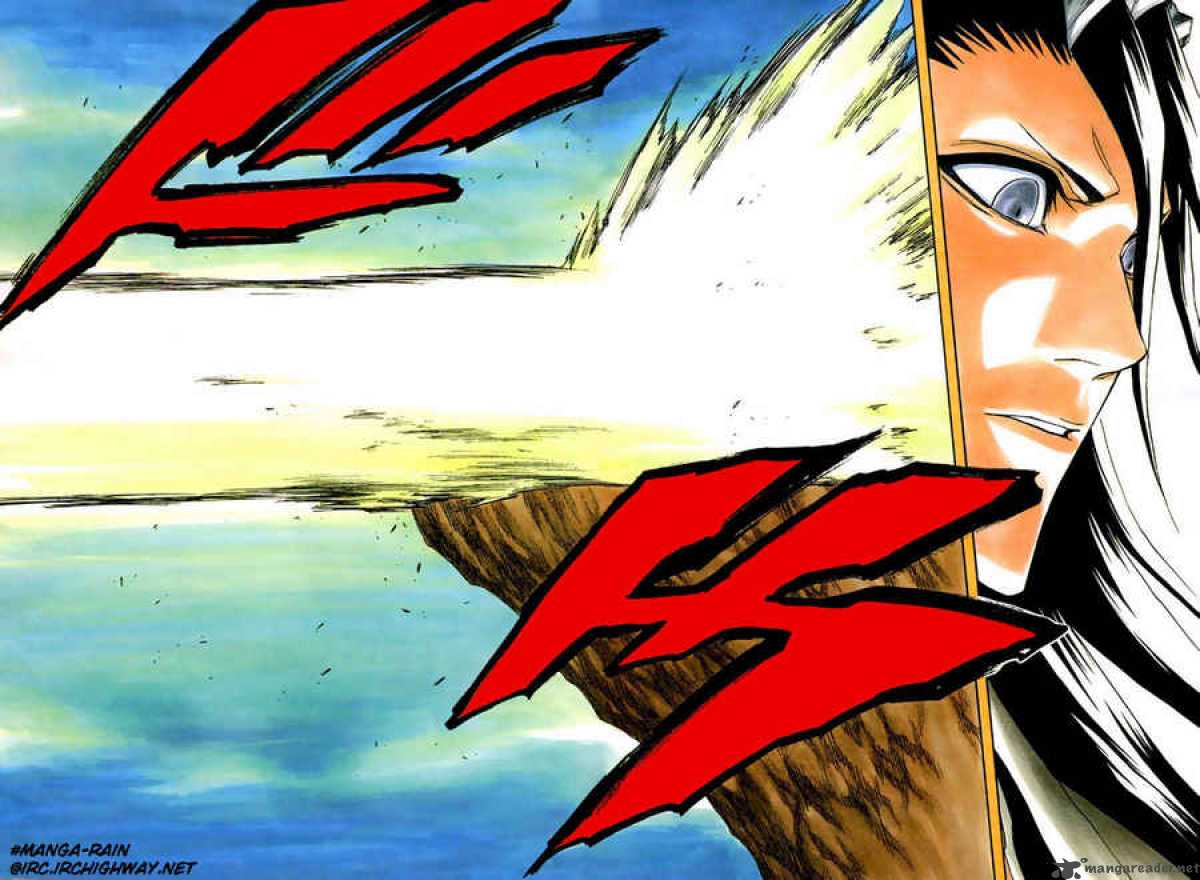 Bleach 162 11