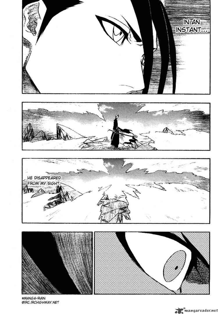 Bleach 163 1