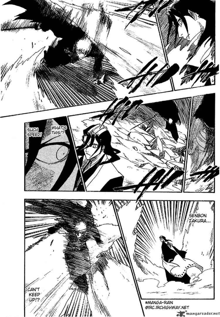 Bleach 163 11