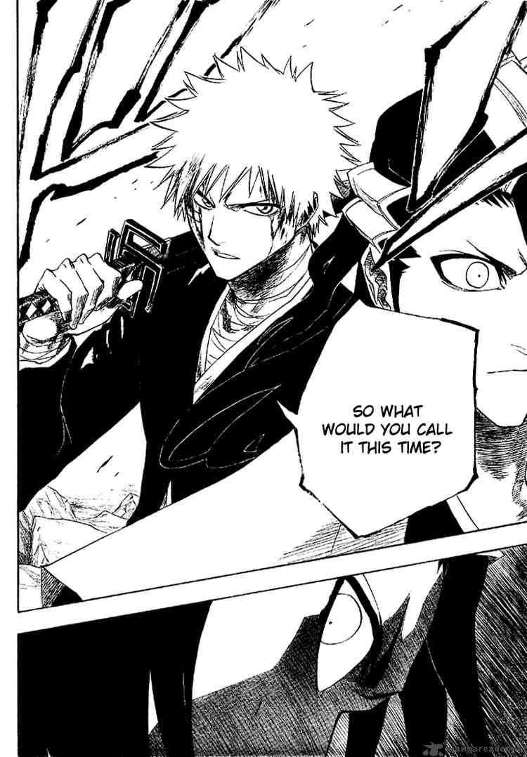 Bleach 163 16