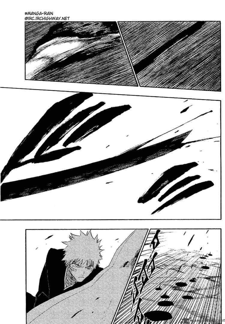 Bleach 163 17
