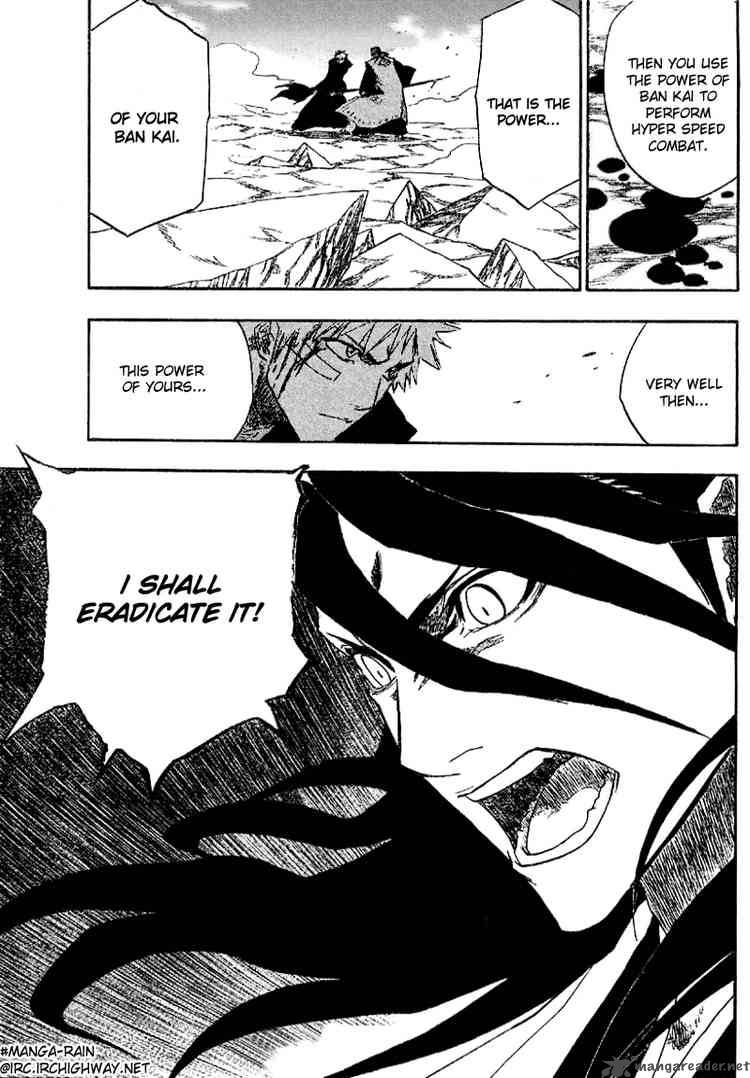 Bleach 163 19