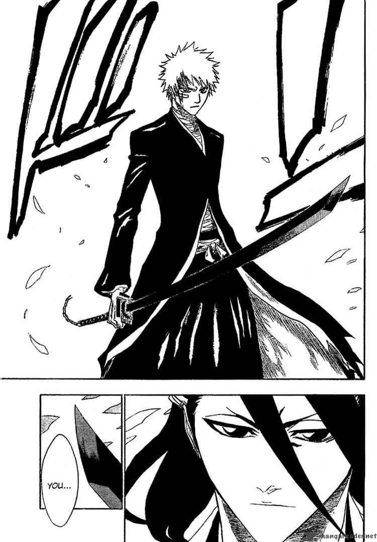 Bleach 163 3