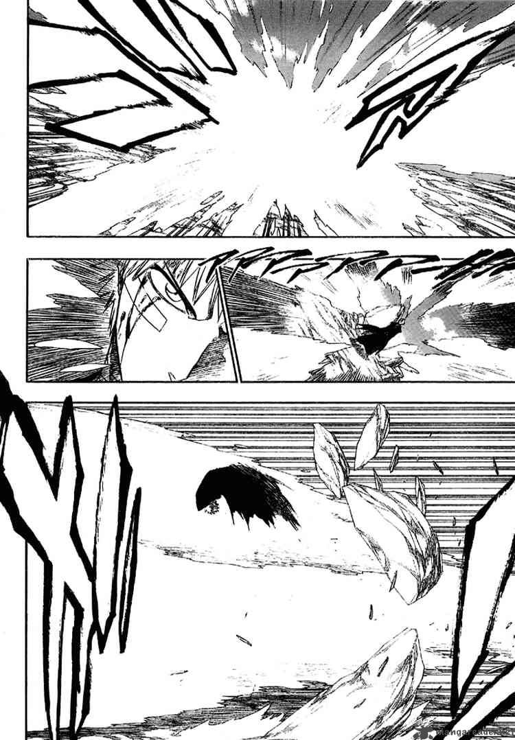 Bleach 163 8
