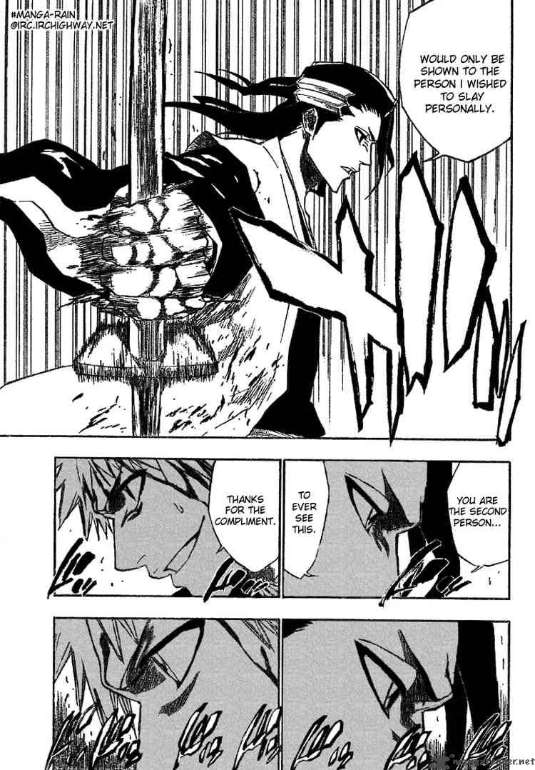 Bleach 164 12