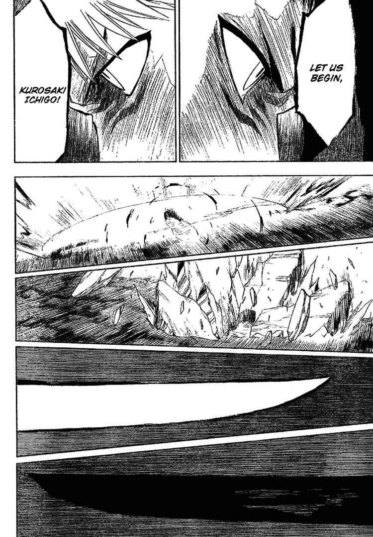 Bleach 164 13