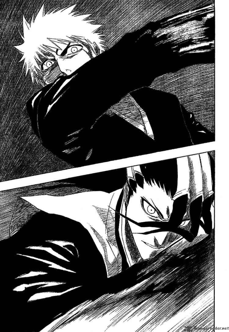 Bleach 164 14