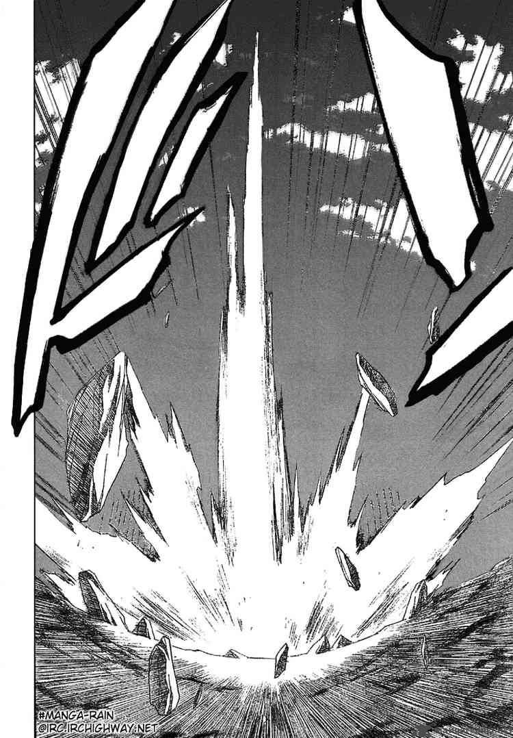 Bleach 164 15