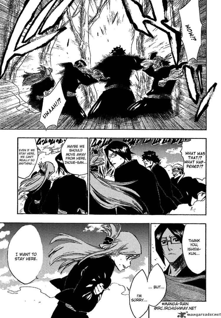 Bleach 164 16