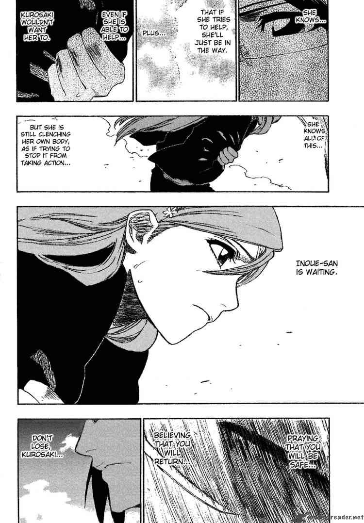 Bleach 164 17