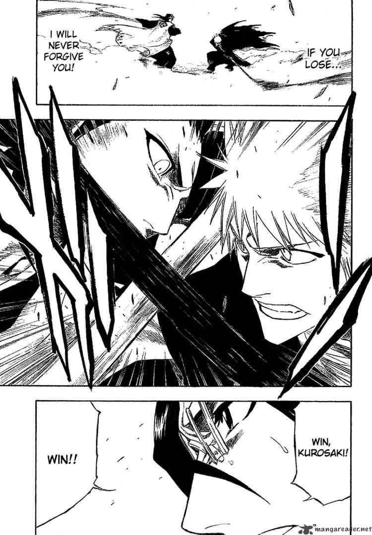 Bleach 164 18