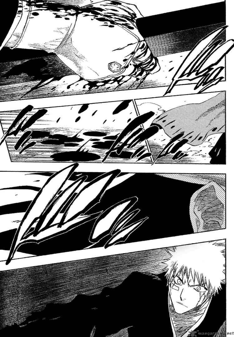 Bleach 164 7