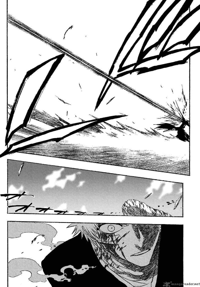 Bleach 165 13