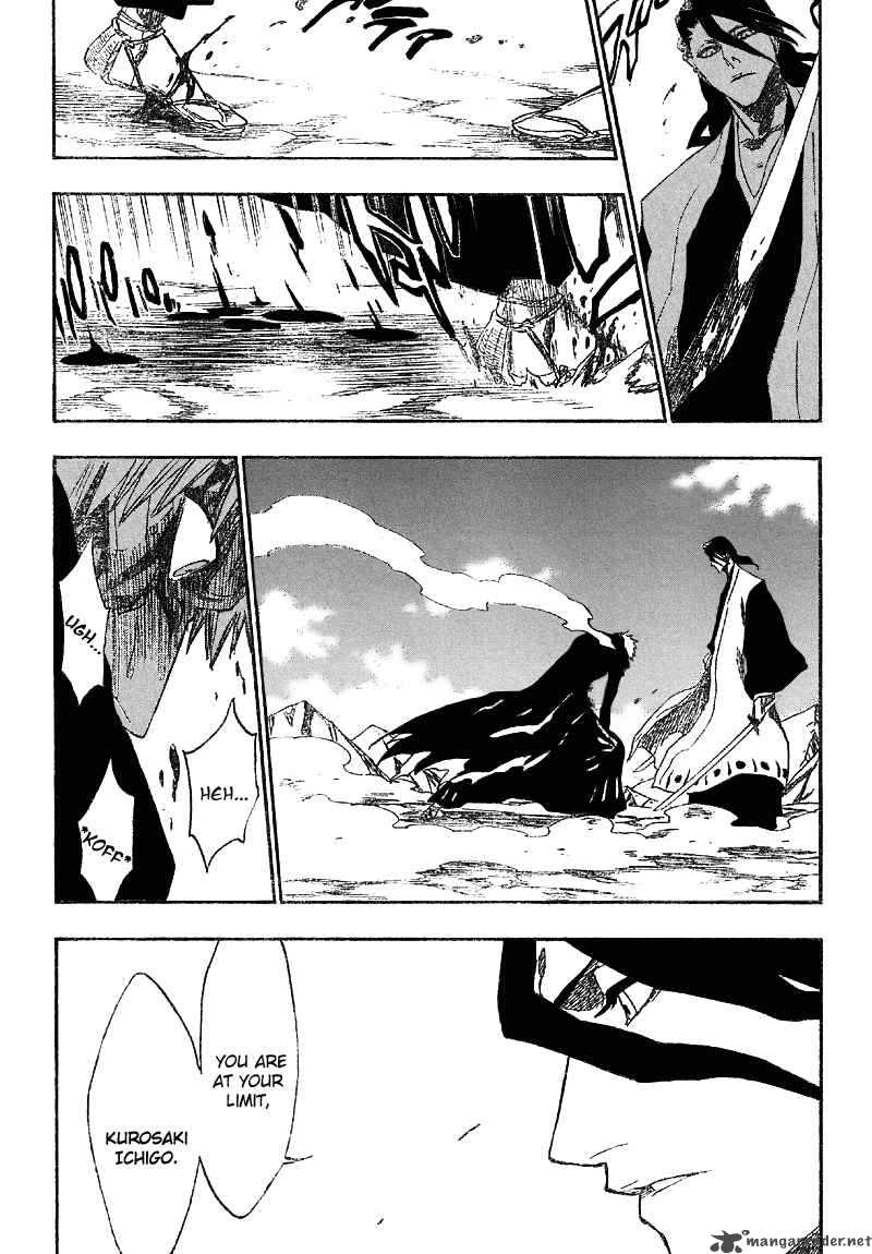 Bleach 165 14