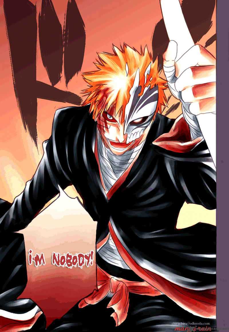 Bleach 165 21