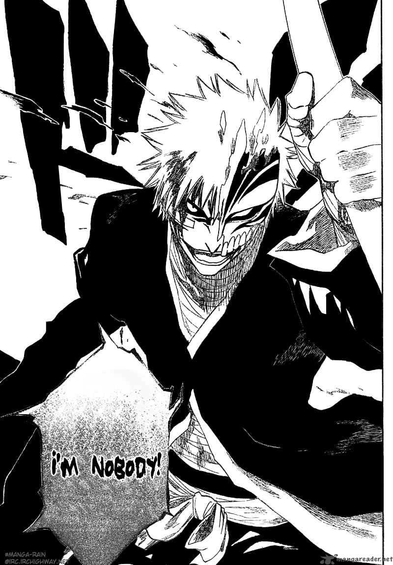 Bleach 165 23