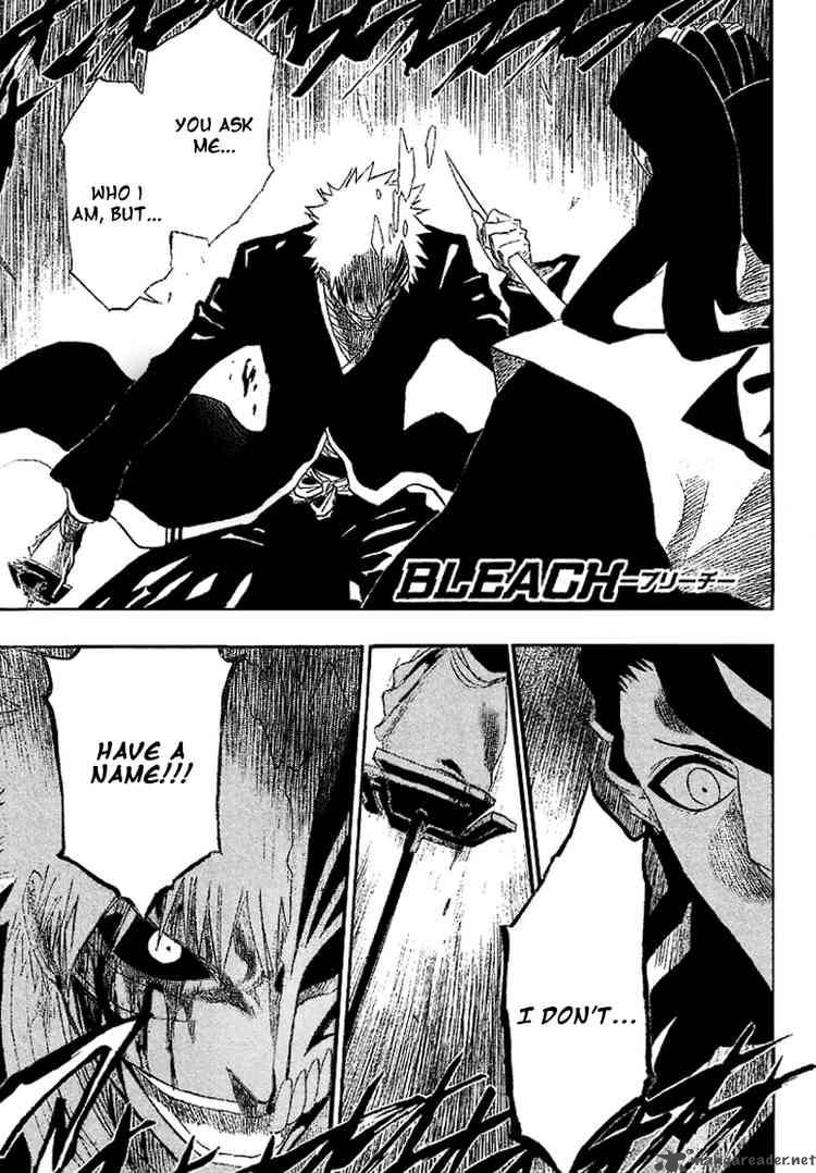 Bleach 166 1