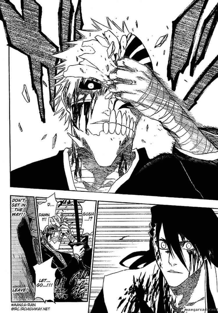 Bleach 166 10