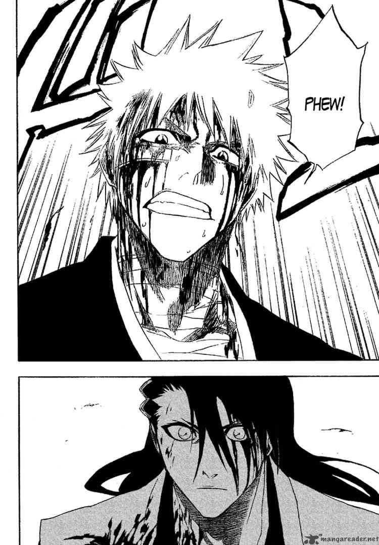 Bleach 166 12