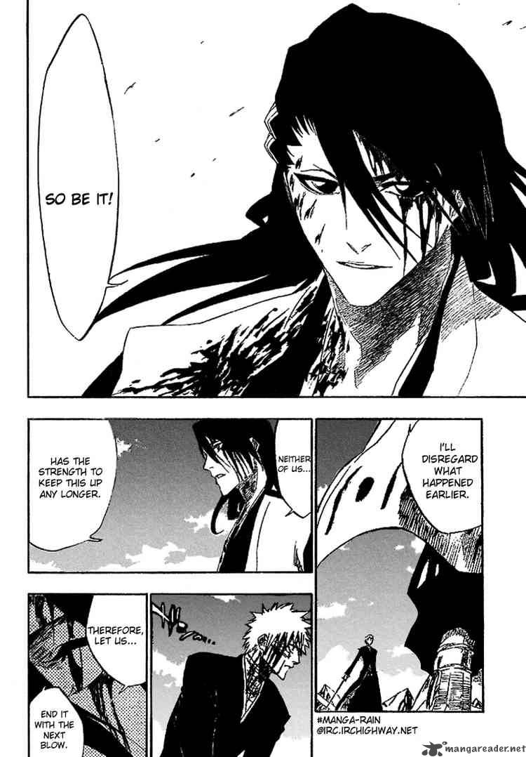 Bleach 166 14