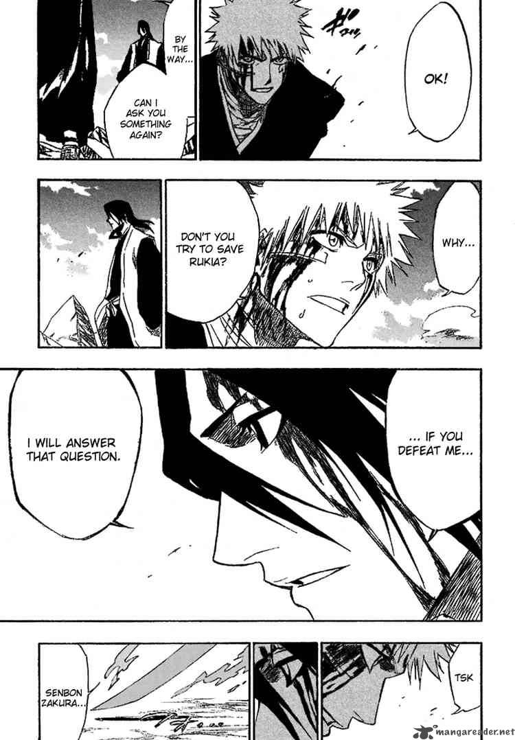 Bleach 166 15