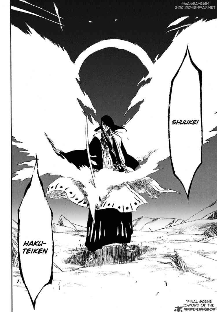 Bleach 166 16