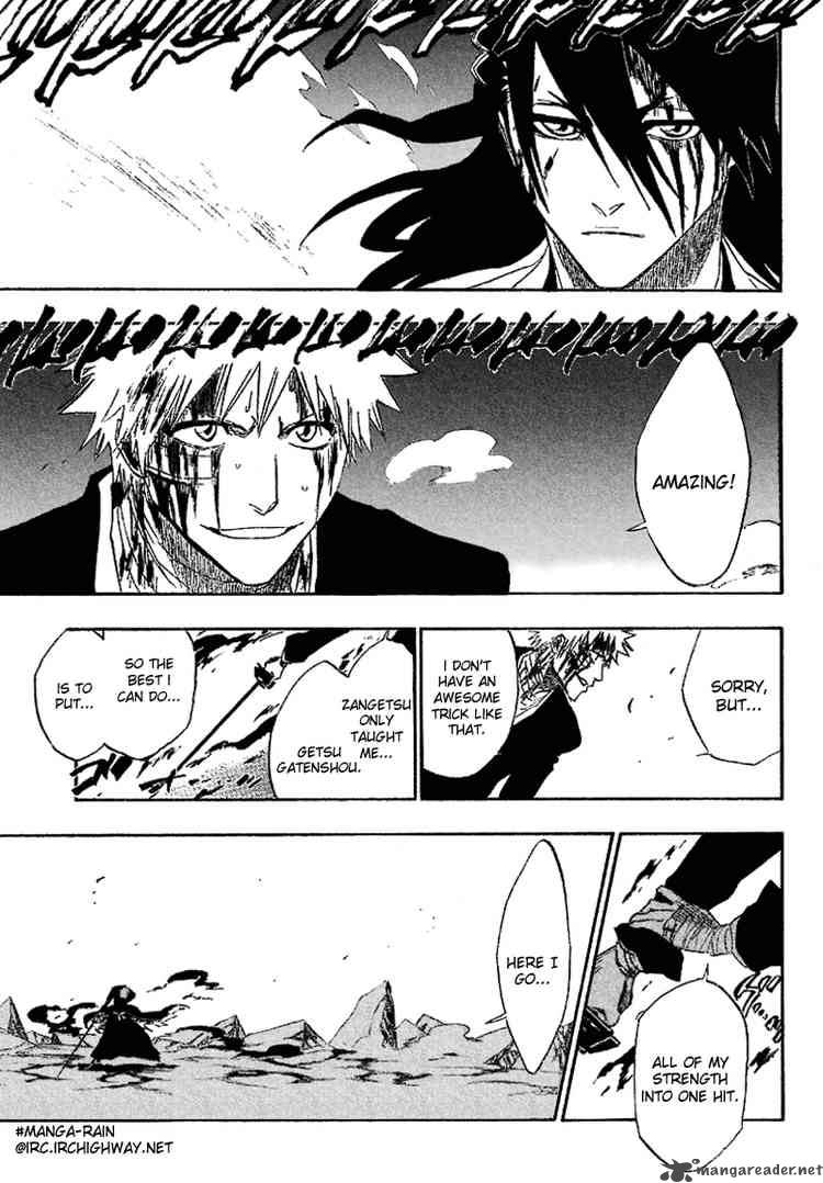 Bleach 166 17