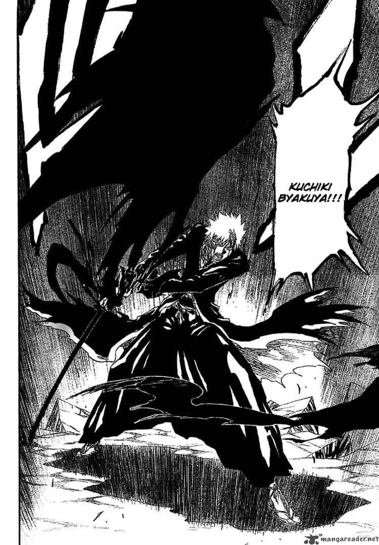 Bleach 166 18