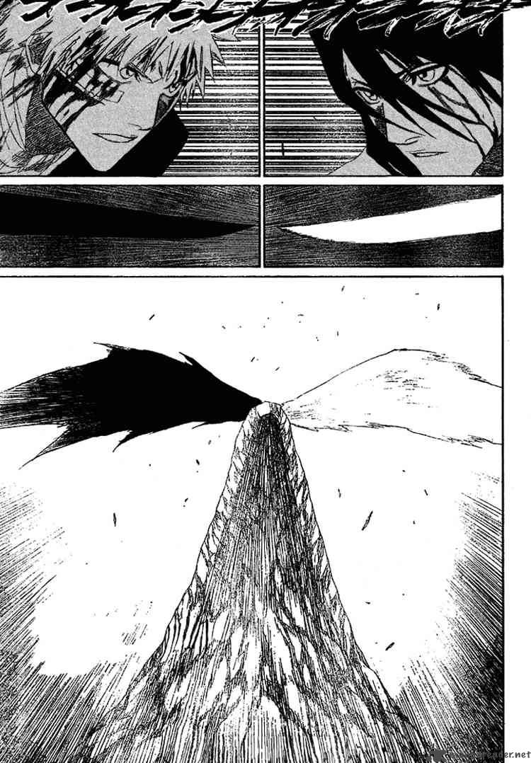 Bleach 166 19